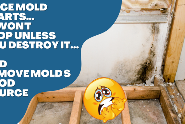 mold-basement-health-dangers